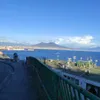 rino.d.amico