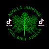 AZOLLA LAMPUNG