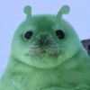 foca409