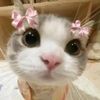 soymiaaa3
