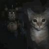 kissingcat.69