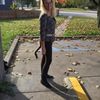 shelle4530