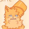 cattedabucketcat