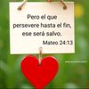 elvira_orea