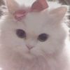 itssmeprincees