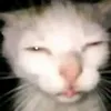 huy.nguyen2104