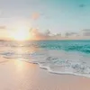 azizaguerfi96