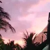 tom_dang_iu
