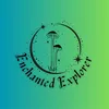 enchantedexplorer86