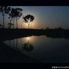 gmailmdimran1