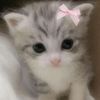 the_elfs4