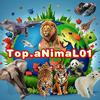 top.animal01