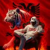 naser.zogaj