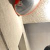 aawpingpong