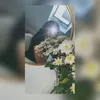 anonym3177719