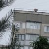 capy1048