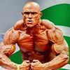 hassan.solh
