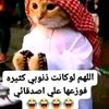 user9114119618661