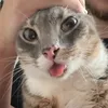 crazytheking23