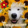 alessandra.carfor1