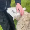 james_._69