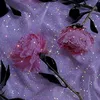 aiala5696
