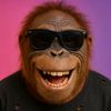 (vlog)OrangUtan