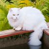 027gmailcom