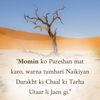 syeda.alisha54