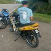 apit0166