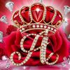 ayka_520777