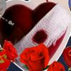 user4381945971252