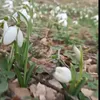 andrandra021