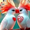 habbibur.rhoman6