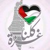 user102029061998