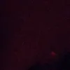 nf29.__