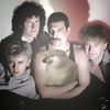 copito.lvs.queen