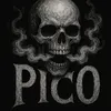 pico_pm