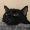 n0thinnn_