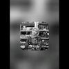 apalo_8