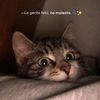 marie091224