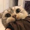 nnnimmm__