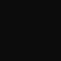 rio_rex8