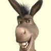 donkey.hot3