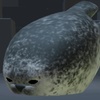 seal_20010