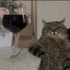 ohhhhhhhhhhhhhhhhhh221