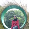 ifaa_auliaa29