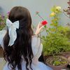 rimshaprincess503