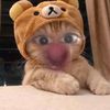 paii_suk4yan