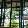 ur_paulyn82